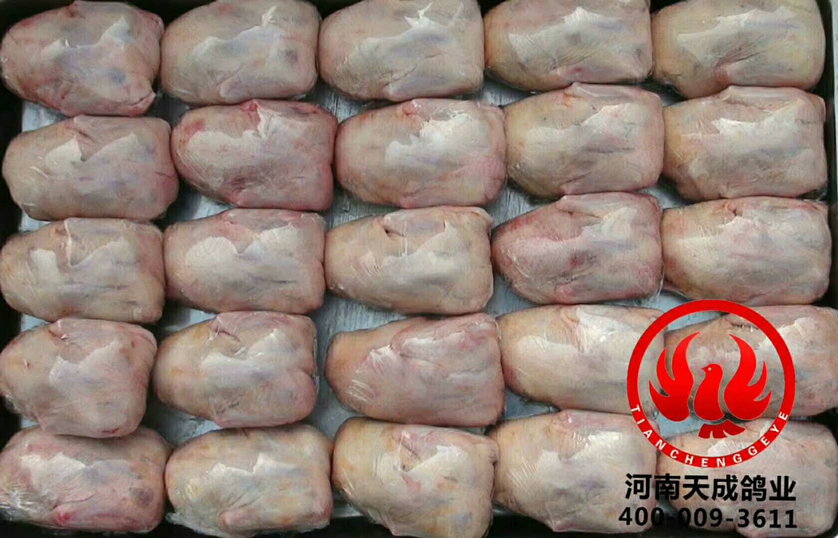 肉鴿產(chǎn)品