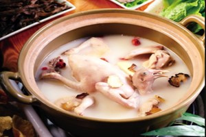 養(yǎng)殖肉鴿賺錢嗎,？