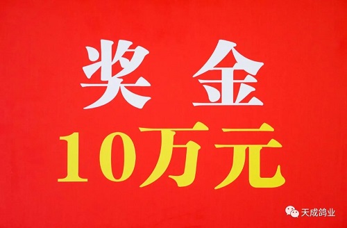 天成鴿業(yè)榮獲“2022年度創(chuàng)新引領(lǐng)示范企業(yè) ”榮譽(yù)稱號(hào)