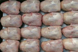 肉鴿產(chǎn)品初加工的前期都要準(zhǔn)備啥,？