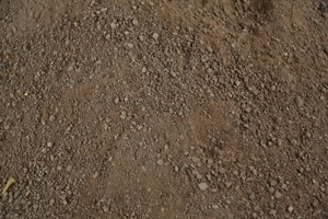 肉鴿養(yǎng)殖場普遍存在的發(fā)展問題有哪些,？