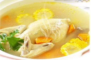 為什么選擇肉鴿養(yǎng)殖？