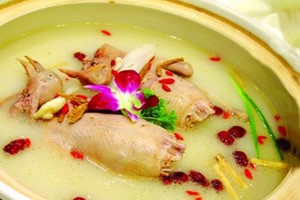 養(yǎng)鴿日記之——養(yǎng)鴿念頭的萌生