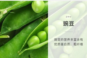 養(yǎng)鴿日記飼養(yǎng)管理之——生產(chǎn)鴿的管理1